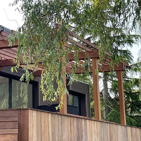 Au Bal Des Hirondelles *