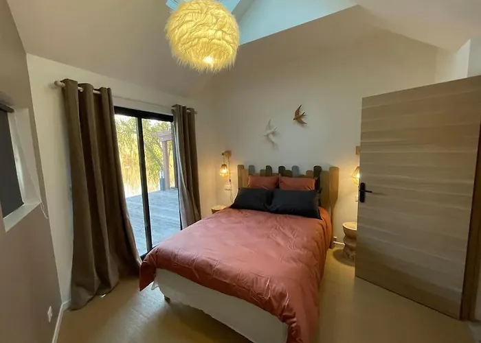 Au Bal Des Hirondelles *