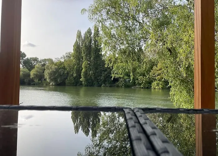 Au Bal Des Hirondelles *