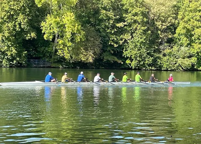 Au Bal Des Hirondelles