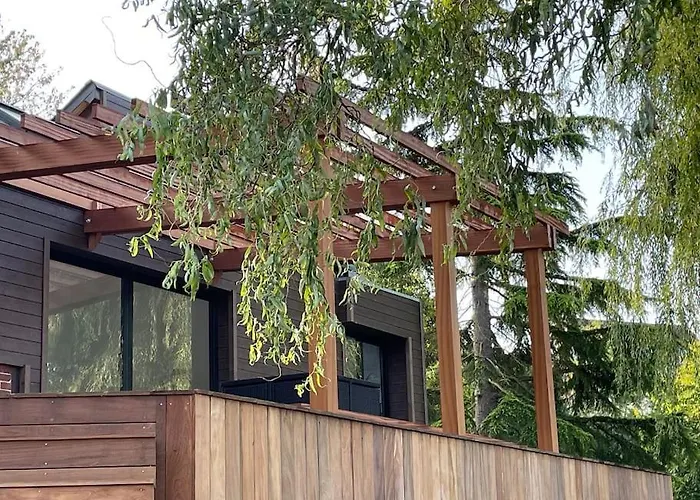 Au Bal Des Hirondelles *